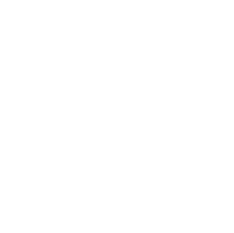 as-1-1 copy